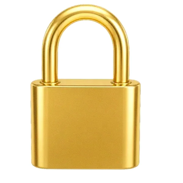 Orange padlock — Spin Boss