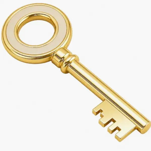 Round-headed key — Spin Boss