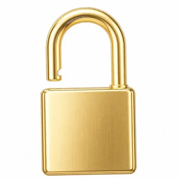 Padlock — Spin Boss