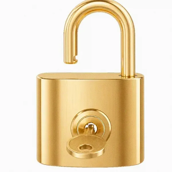 Open padlock — Spin Boss