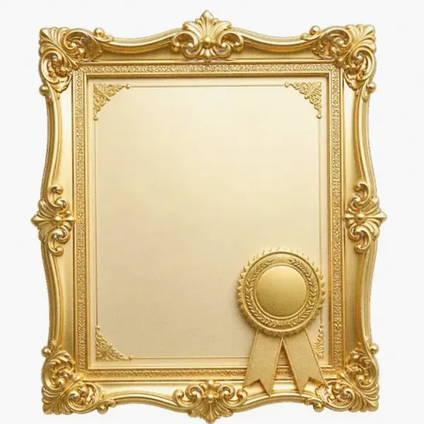 Framed certificate — Spin Boss