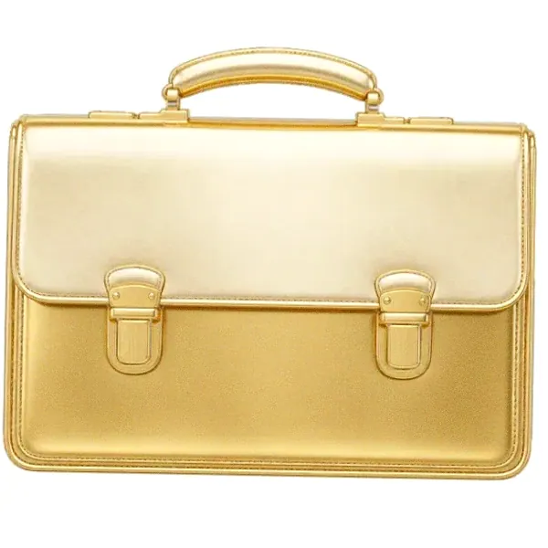Leather briefcase — Spin Boss